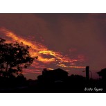 Mi cielo rojo