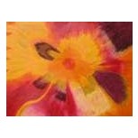 Flor