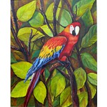 Guacamaya Colombiana