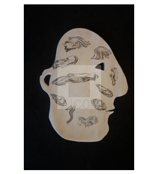 CABEZA BLANCA CON OREJAS PERFIL PLANCHA B Y N  2 BARROS