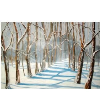 PAISAJE NEVADO