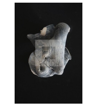 REPLEGARSE Y NO MOSTRARSE