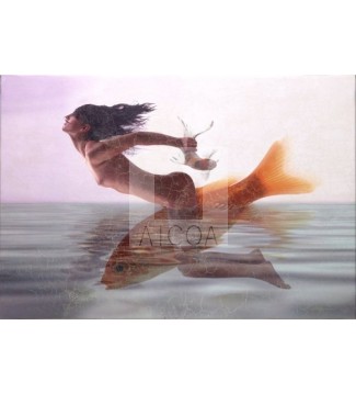 138 MERMAID RIDING