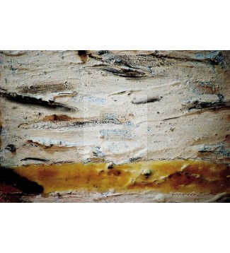 Terra sub uno (4)