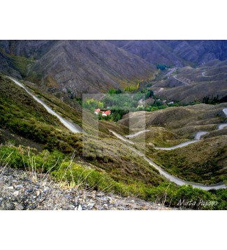 Por los caminos de la vida