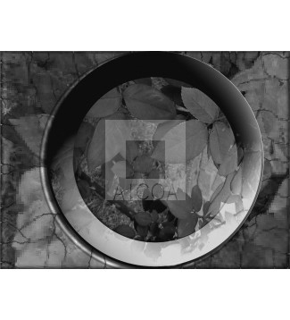 09