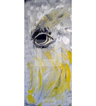 Ojo