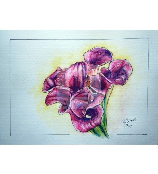 Ramo de calas violetas