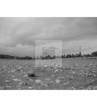 El Abandono