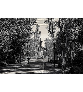 URBANA 144