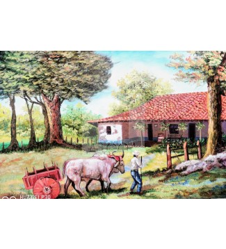 calle llano grande 