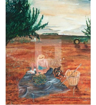 RECOLECCI&Oacute;N DE ALMENDRAS