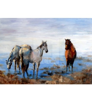 Caballos bebiendo