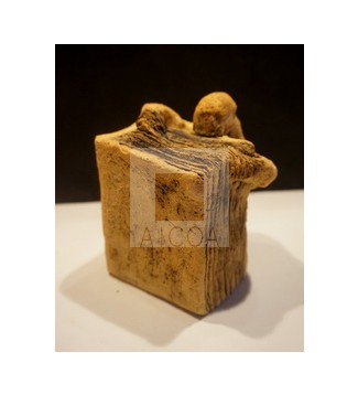 EL DEVORADOR DE LIBROS