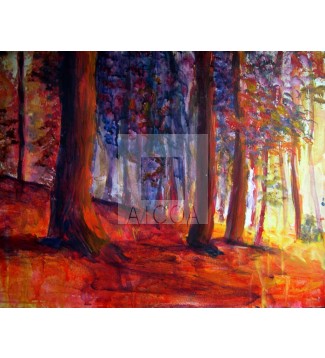 bosque de pinos con luz vespertina