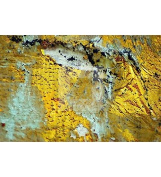 Vulcana (10)