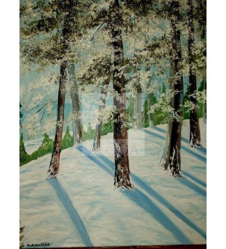 PAISAJE NEVADO