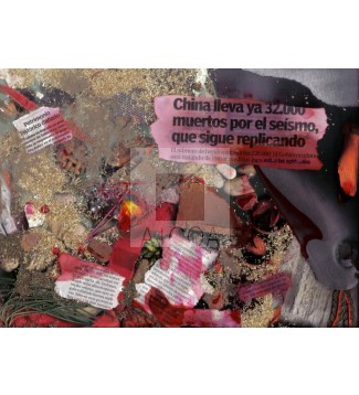 Serie Desastres, Desastre en China