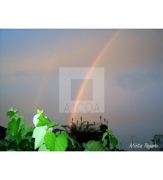 Arco Iris 4
