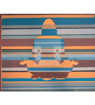 UNIVERSO PARALELO Y MEDITACION