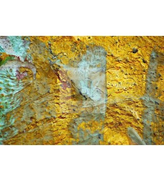 Vulcana (14)