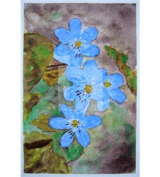 serie flores 2