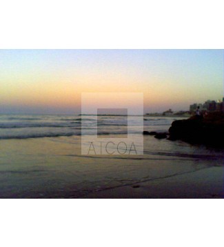 Mar del Plata 4