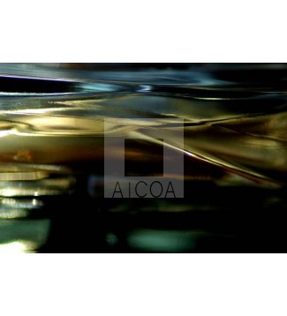 ILUSORIA 9
