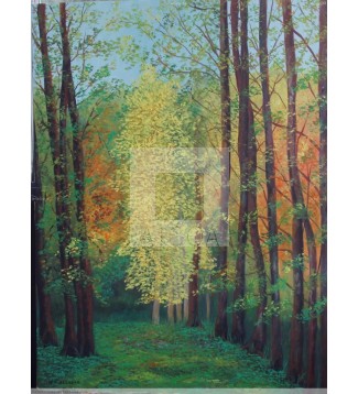 PAISAJE DEL MONTE LOS CORTOS