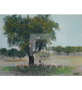 paisaje