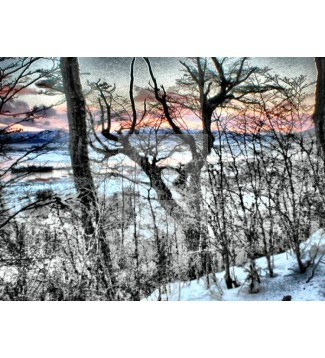 Aterdeceres Invernales en Ushuaia