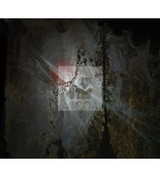 B 02 serie: Obsesión
