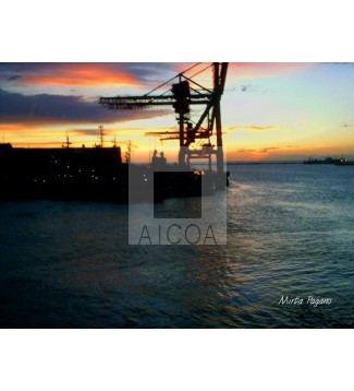 Atardecer en el puerto 1