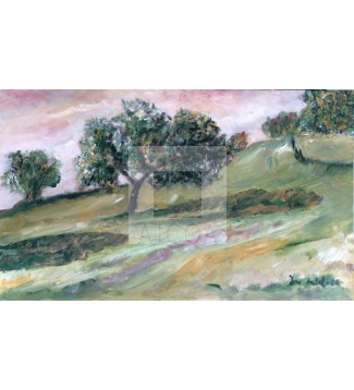 ENCINAS CAMINO DEL PANTANO