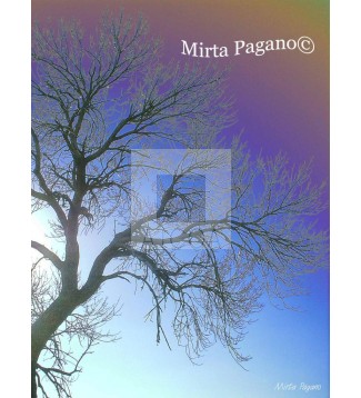invierno 2009 1