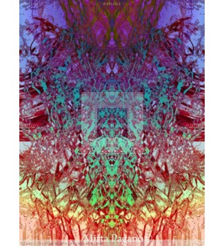 Rareza 4