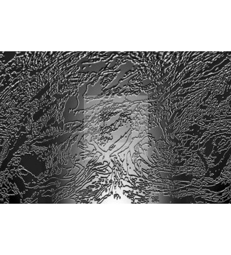 Gris -Negro 2
