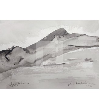 PAISAJE TINTA CHINA SUMI-ALI