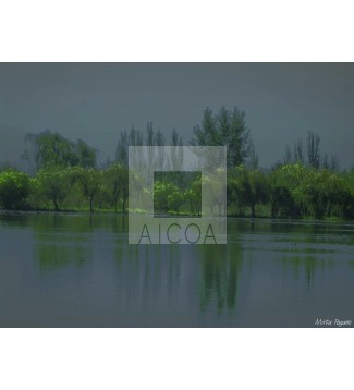 Paisaje gris