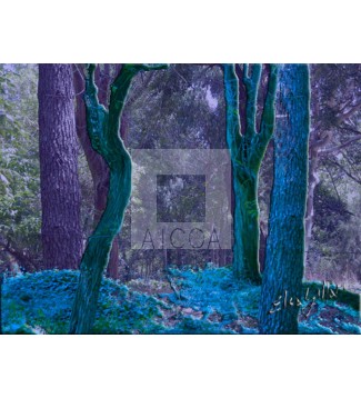 ARBOL AZUL