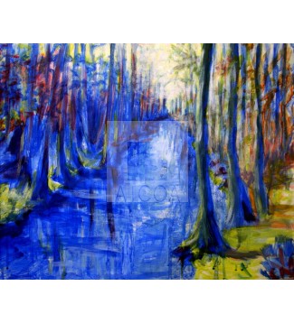 el bosque y el rio