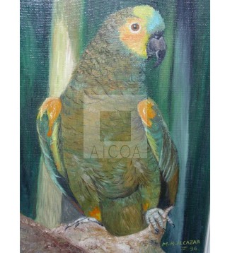 LORO VERDE