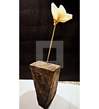 FLOR DE CERA Y BARRO