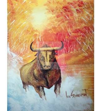 TORO VIVAZ