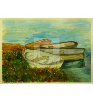 LAS BARCAS