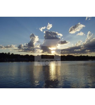 Reflejos