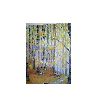 PAISAJE