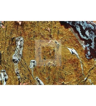 &Aacute;urea sub (6)