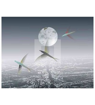 Crepusculo Marino
