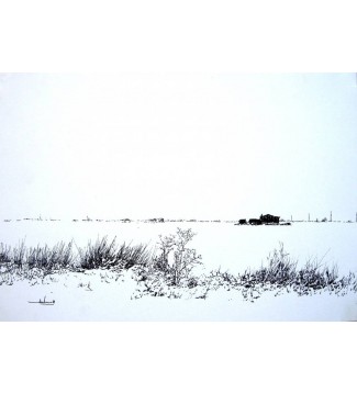 NEVADO - 1981